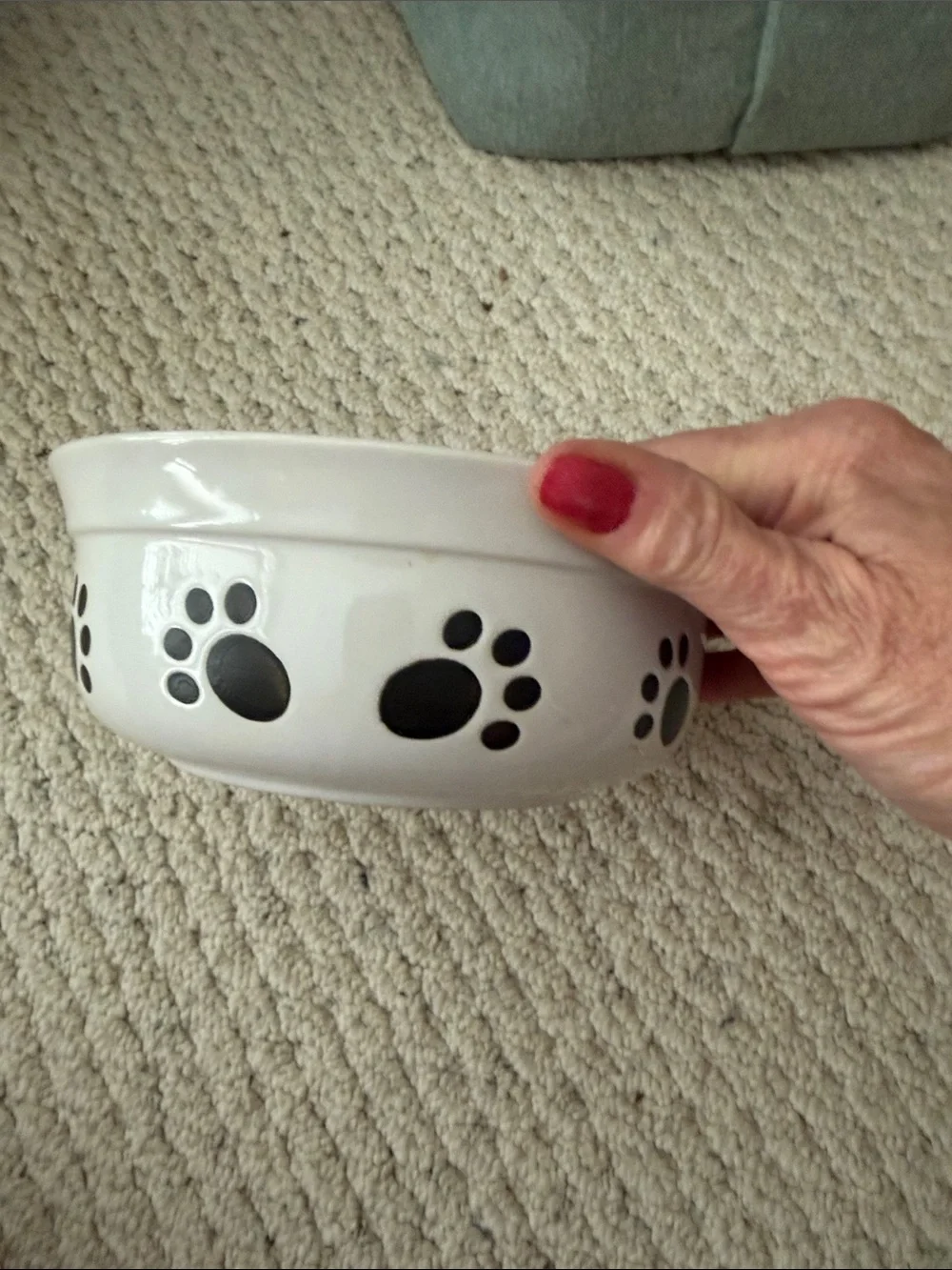 White Ceramic Dog Bowl with Black Polka Dots and Paw Print